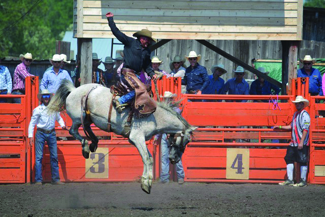 Effie North Star Stampede draws big crowds